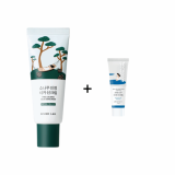 ROUND LAB Pine Calming Cica Sunscreen SPF50+ PA++++ Сонцезахисний крем для обличчя з центелою та сосною, 40 мл